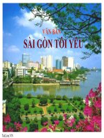 Bài giảng ngữ văn 7 bài 15 sài gòn tôi yêu 8 