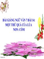 Bài giảng ngữ văn 7 bài 14 một thứ quà của lúa non cốm 5 