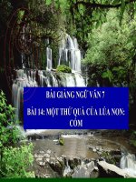 Bài giảng ngữ văn 7 bài 14 một thứ quà của lúa non cốm 15 