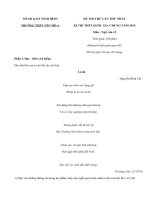 Đề thi thử THPT quốc gia môn Văn - THPT Yên Mỗ A năm 2015