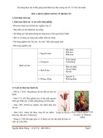 BÀI GIẢNG BỆNH CÂY ĐẠI CƯƠNG  TS. VÕ THỊ THU OANH  ĐHNLTPHCM