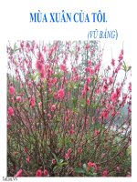 Bài giảng ngữ văn 7 bài 15 mùa xuân của tôi 10 