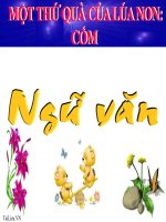 Bài giảng ngữ văn 7 bài 14 một thứ quà của lúa non cốm 3 