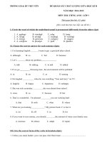 Đề kiểm tra giữa học kì 2 lớp 9 môn Tiếng Anh - Việt Yên năm 2015