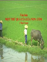 Bài giảng ngữ văn 7 bài 14 một thứ quà của lúa non cốm 8 