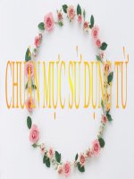 Bài giảng ngữ văn 7 bài 14 chuẩn mực sử dụng từ 6 