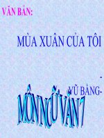 Bài giảng ngữ văn 7 bài 15 mùa xuân của tôi 2 