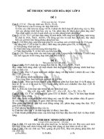 ĐỀ THI HSG HÓA LỚP 8