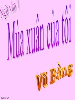 Bài giảng ngữ văn 7 bài 15 mùa xuân của tôi 7 