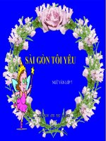 Bài giảng ngữ văn 7 bài 15 sài gòn tôi yêu 10 