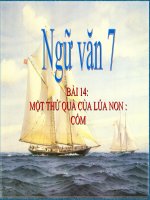 Bài giảng ngữ văn 7 bài 14 một thứ quà của lúa non cốm 4 