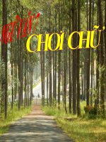 Bài giảng ngữ văn 7 bài 14 chơi chữ 8 