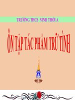 Bài giảng ngữ văn 7 bài 16 ôn tập tác phẩm trữ tình 7 