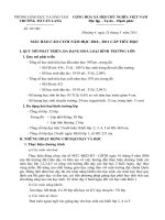 Mẫu báo cáo cuối năm cấp Tiểu học.