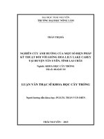 Nghiên cứu ảnh hưởng của một số biện pháp kỹ thuật đối với giống hoa lily lake carey tại huyện tân uyên, tỉnh lai châu 