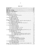 nghiên cứu khả năng sinh trưởng phát triển và một số biện pháp kỹ thuật nâng cao năng suất, phẩm chất một số giống vải chín sớm ở miền bắc việt nam