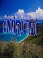 Bài giảng tự nhiên xã hội lớp 3 khả năng kì diệu của lá cây