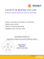 Strategic management accounting by austin sams