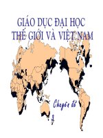 Chuyển động của giáo dục đại học việt nam