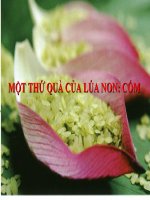 Bài giảng ngữ văn 7 bài 14 một thứ quà của lúa non cốm 19 