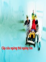 CẤP CỨU NGỪNG TIM, NGỪNG THỞ