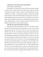 Tiểu luận Toàn cầu hóa và những tác động đến nền kinh tế Việt Nam