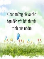 Bài thuyết trình: Thực trạng và giải pháp bảo vệ đa dạng sinh học ở Việt Nam hiện nay