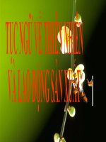 Bài giảng ngữ văn 7 bài 18 tục ngữ về thiên nhiên và lao động sản xuất 11 