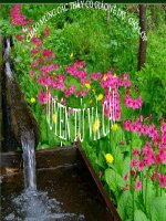 LTVC: CÂU KỂ AI THẾ NÀO?