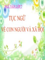 Bài giảng ngữ văn 7 bài 19 tục ngữ về con người và xã hội 12 