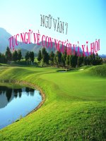 Bài giảng ngữ văn 7 bài 19 tục ngữ về con người và xã hội 2 