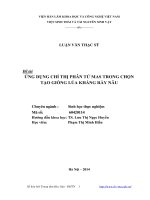 Ứng dụng chỉ thị phân tử Mas trong chọn tạo giống lúa kháng rầy nâu