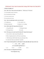 Đề thi học kì 1 lớp 7 môn Văn năm 2014 Trường THCS Phan Chu Trinh (Đề 2)