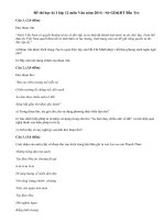 Đề thi học kì 1 môn Văn lớp 12 tỉnh Bến Tre 2014