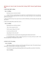 Đề thi học kì 1 lớp 12 môn Văn năm 2014 Trường THPT Chuyên Nguyễn Quang Diêu