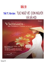 Bài giảng ngữ văn 7 bài 19 tục ngữ về con người và xã hội 3 