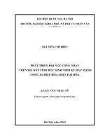 Phát triển đội ngũ công nhân trên địa bàn tỉnh bắc ninh thời kỳ đẩy mạnh công nghiệp hóa, hiện đại hóa 