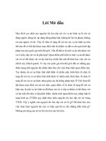 Nguyên tắc hai cấp xét xử trong tố tụng hình s̘ự