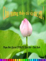 sinh học 10 bài 19 tiết 22 giảm phân