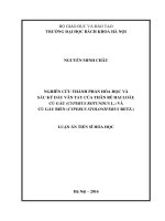 Nghiên cứu thành phần hóa học và sắc ký dấu vân tay của thân rễ hai loài: củ gấu (Cyperus rotundus L.) và củ gấu biển (Cyperus stoloniferus Retz.)