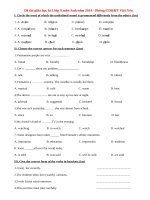 Đề thi giữa học kì 1 lớp 9 môn tiếng Anh năm 2014