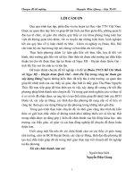 Đoàn TNCS Hồ Chí Minh xã Ngọc Mỹ – Huyện đoàn Quốc Oai – tỉnh Hà Tây trong công tác tham  gia xây dựng Đảng