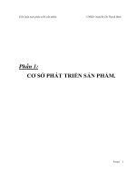 Tiểu luận môn phát triển sản phẩm -chanh dây lên men