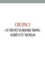 Bài giảng tội phạm học   chương 3   lý THUYẾT xã hội học TRONG NGHIÊN cứu tội PHẠM