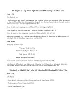 Đề thi giữa học kì 1 lớp 9 môn Văn năm 2014 - THCS Cao Viên