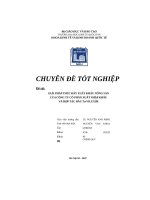 GIẢI PHÁP THÚC đấy XUẤT KHẤU NỒNG sản của CÔNG TY cố PHẰN XUẤT NHẬP KHẨU và hợp tác đầu tư VILEXIM 