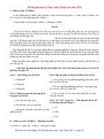 Đề thi giữa học kì 1 lớp 5 môn Tiếng Việt năm 2014