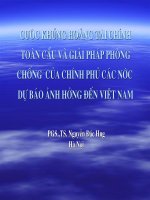 CUỘC KHỦNG HOẢNG tài CHÍNH TOÀN cầu và GIẢI PHÁP PHÒNG CHỐNG của CHÍNH PHỦ các nước dự báo ẢNH HƯỞNG đến VIỆT NAM