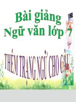 Bài giảng ngữ văn 7 bài 21 thêm trạng ngữ cho câu 23 