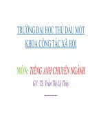 bài thuyết trình   tiếng anh chuyên ngành   môn công tác xã hội